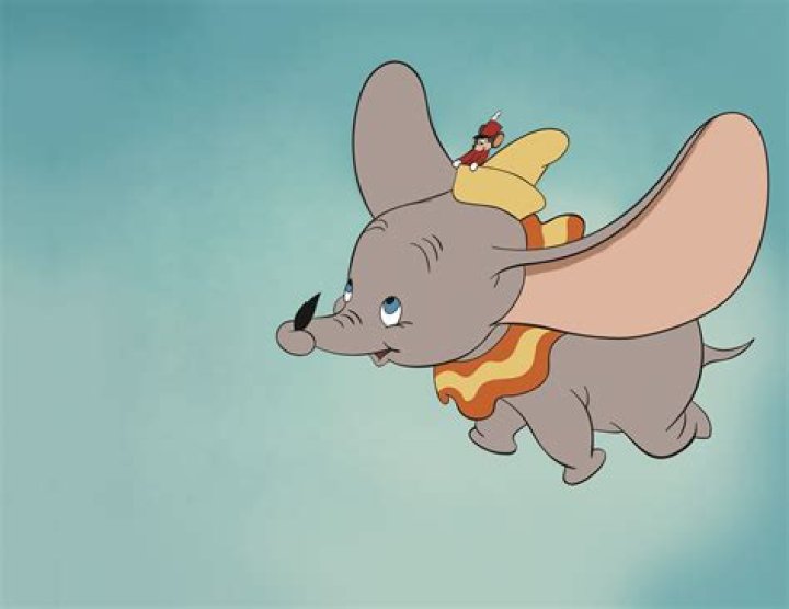One of Dumbo's wings