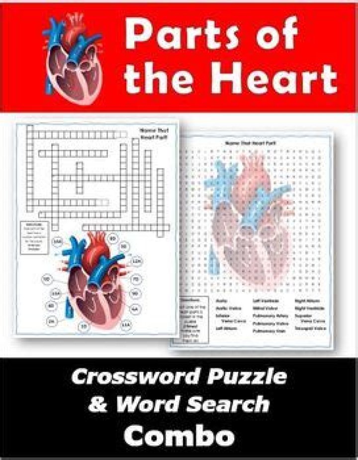 One with a big heart? Crossword Clue
