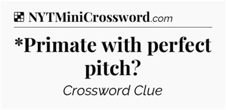Pitch NYT Crossword Clue