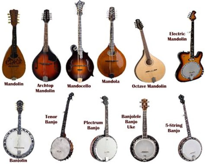 Plays like a banjo