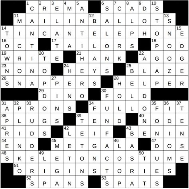 Political nomination, informally Crossword Clue LA Times