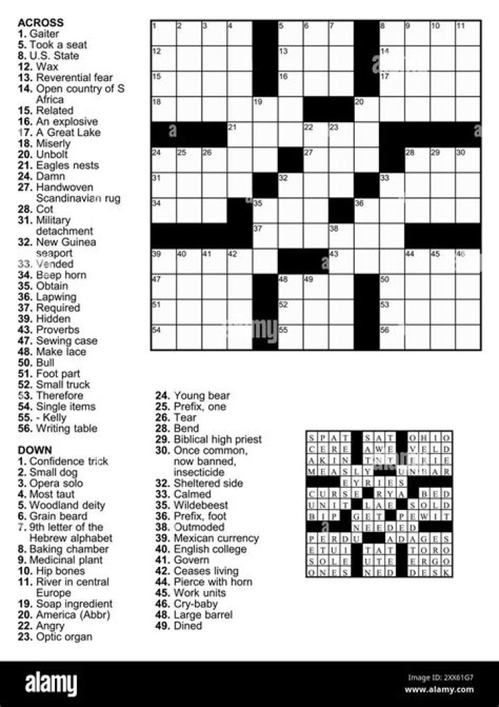 Puzzle Page Detecting device Crossword Puzzle clues and Answers