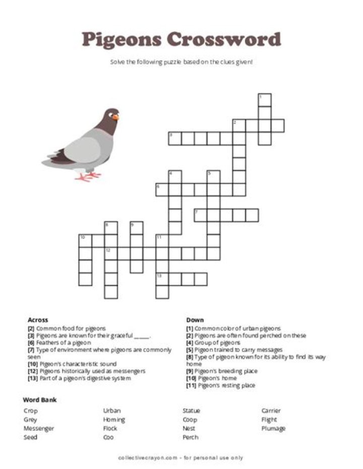 Puzzle Page Stool pigeon Crossword Clue Answers with 6 letters