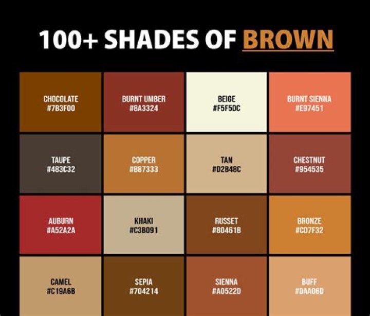 Queer Eye costar France or a shade of brown
