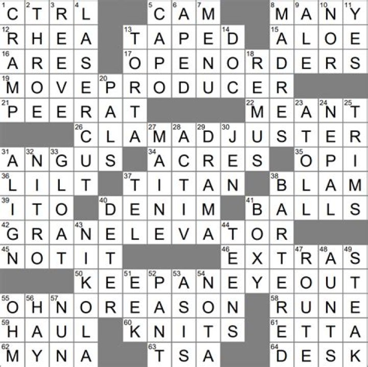 Romantic preference NYT Crossword Puzzle Clue