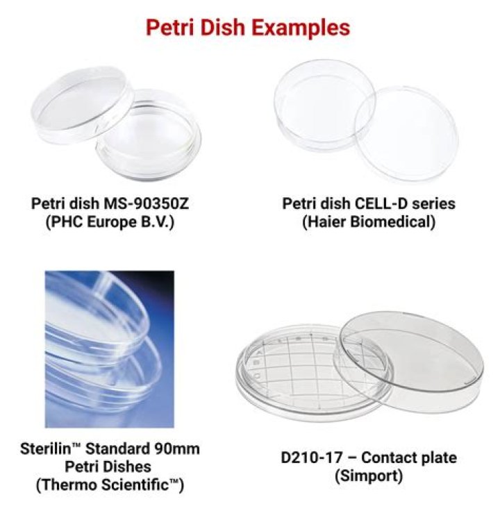 Seaweed gel used in a petri dish