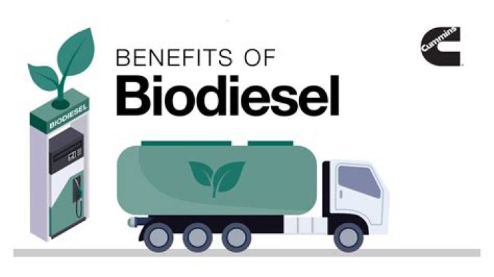 Sources of biodiesel (In this answer, note letters 5-8) Crossword Clue Universal Answer