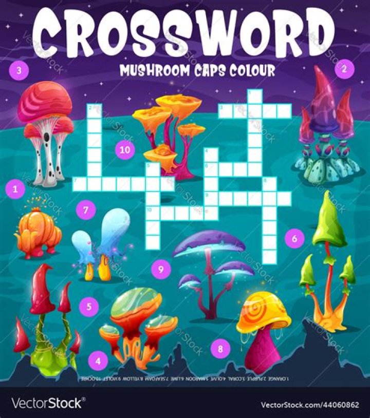 Spongy mushroom Crossword Clue NYT