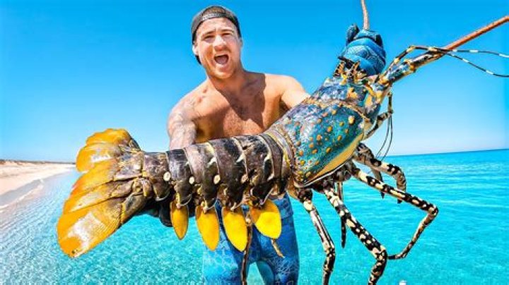 State that’s the largest U.S. producer of lobsters Crossword Clue