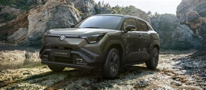 Subaru or Suzuki say