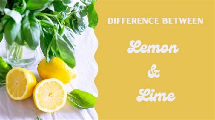 Suffix for a lemon or lime drink