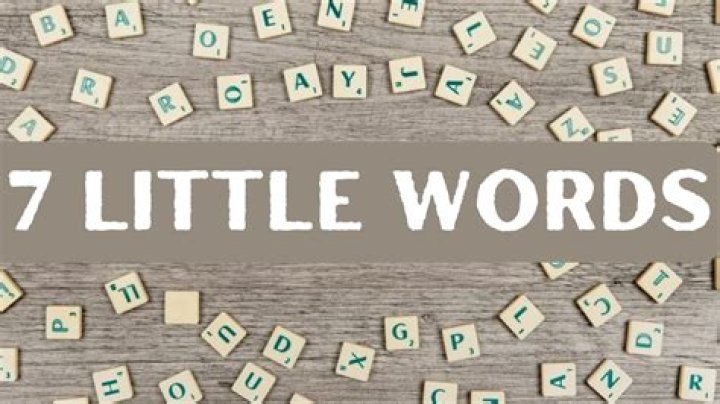 The big picture 7 Little Words Crossword Clue