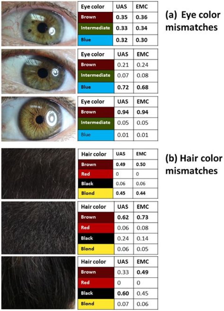 They determine your hair and eye color for example