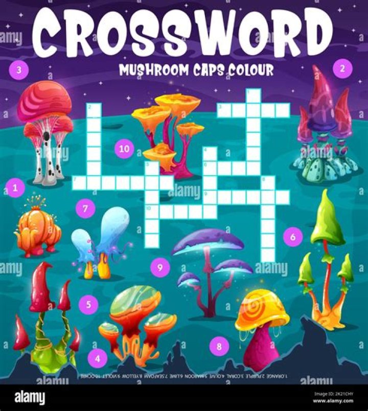 Thin mushroom Crossword Clue LA Times