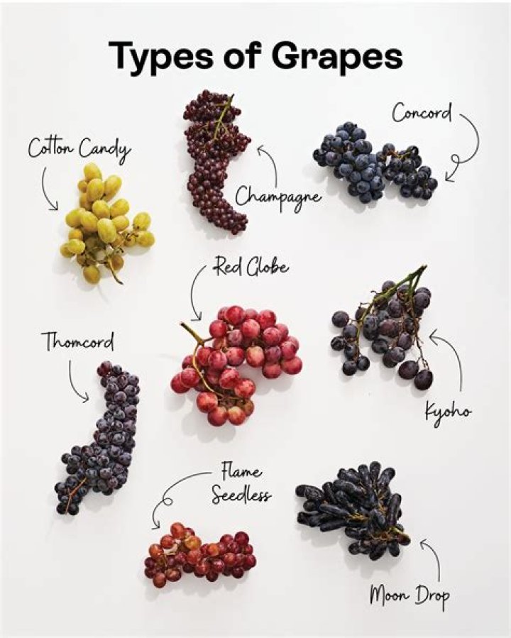 Thomas Joseph Wine grape 5 letters Crossword Clue Answers