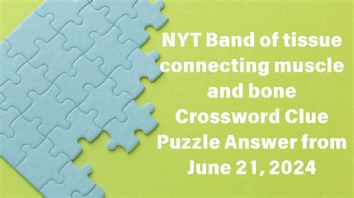 Tissue joining muscle to bone Crossword Clue 5 letters Puzzle Page answers