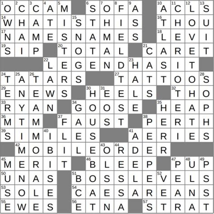 Took home a “furever friend,” say Crossword Clue