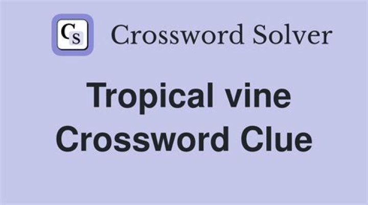 Tropical vine NYT Crossword Clue
