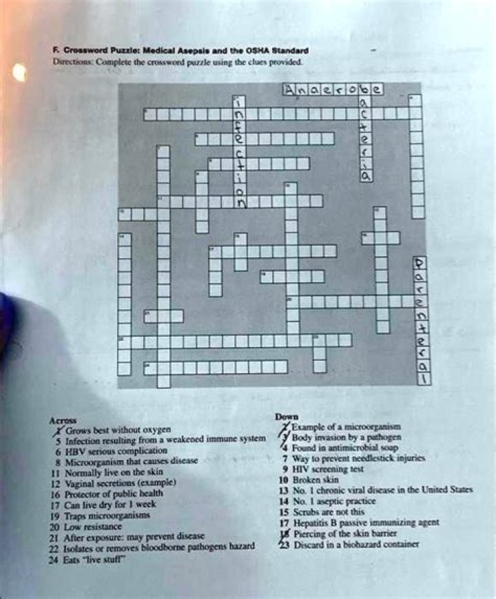 Universal Fly traps Crossword Clue Puzzle Answers
