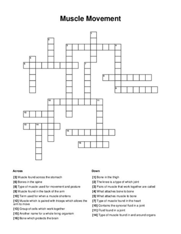 Universal Muscle to flex, informally Crossword Clue