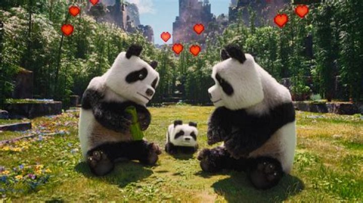 Universal NGO with a panda logo Crossword Clue