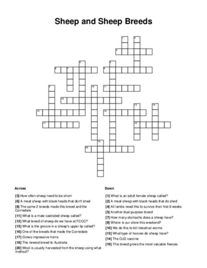 USA Today Fibers shorn from sheep Crossword Clue