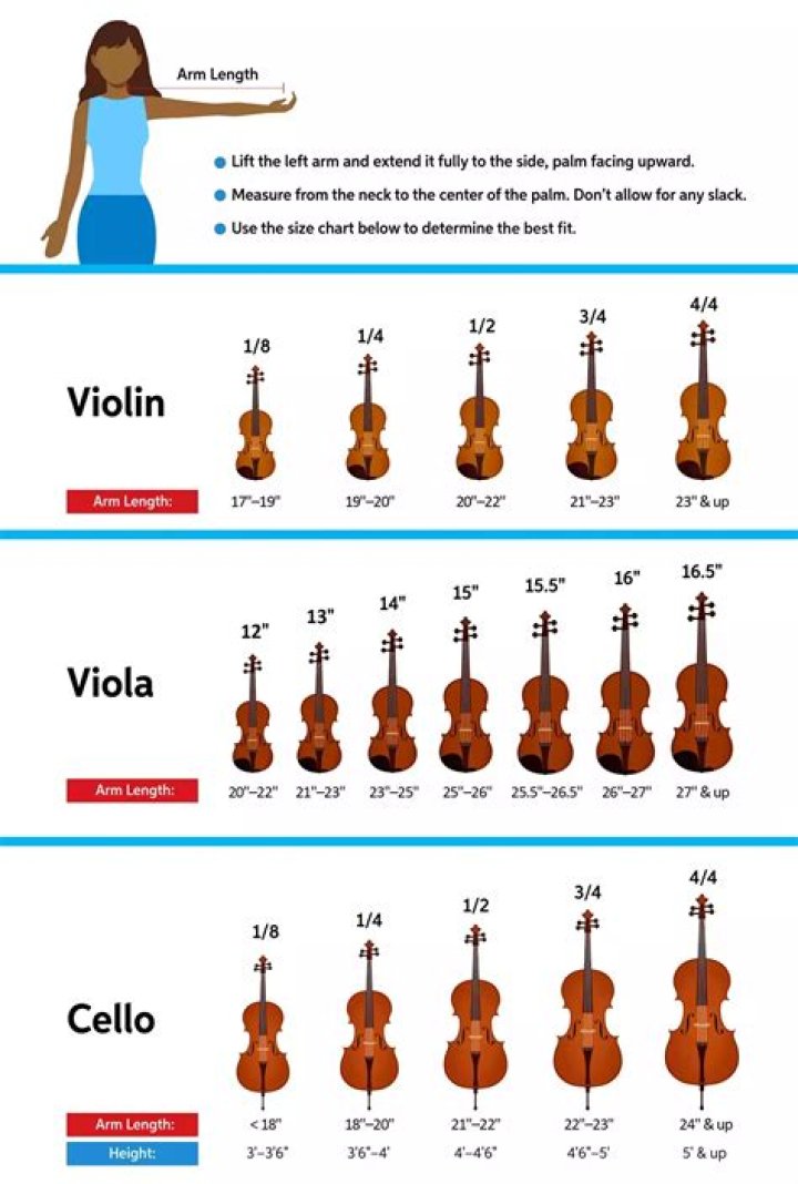 Violin's larger cousin