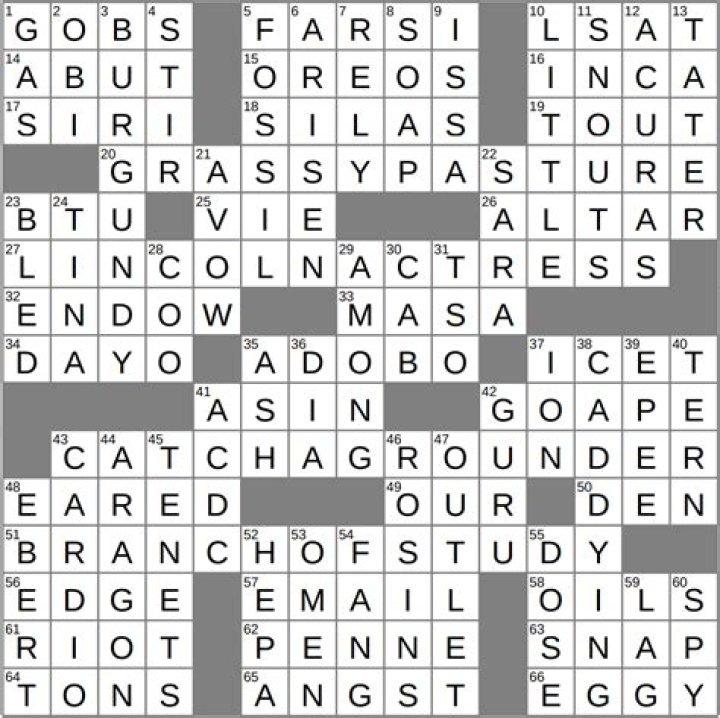 Watches Crossword Clue