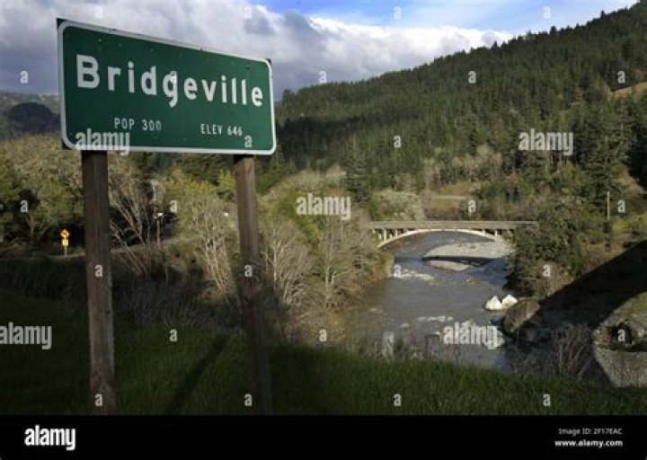 Website where the city of Bridgeville California was sold in 2002