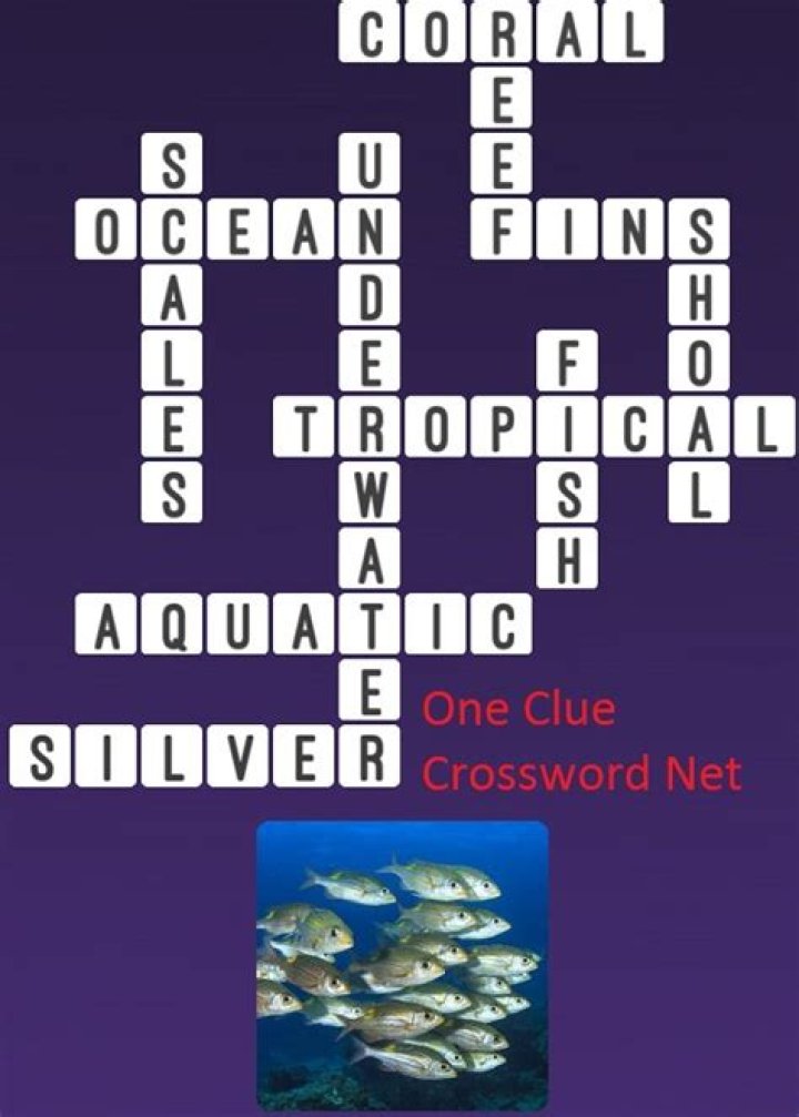 When repeated, a tropical fish Crossword Clue Universal Answer
