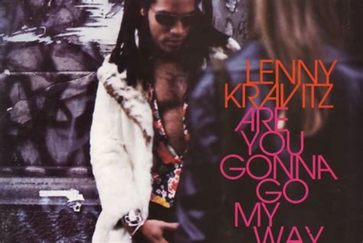 ___ You Gonna Go My Way (Lenny Kravitz song)