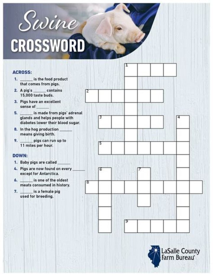 Young weaned pig Crossword Clue